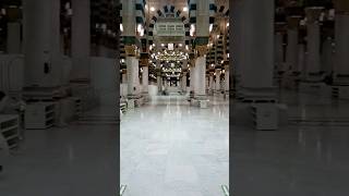 Masjid Nabawi #yanabi #yt_shorts #makkah #viral #shorts #madina #allah #yaallah #islamicreels