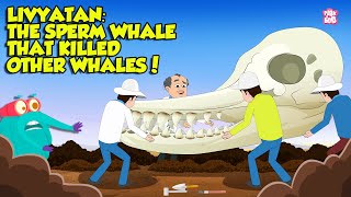 Deadliest Shark Mystery Why No Aquarium Has A Great White Shark