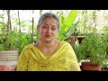 love food hate waste waste management organic terrace garden