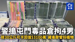 警搗屯門毒品倉拘4男　檢30公斤可卡因值$3100萬　藏毒膠管扮植物 ｜01新聞｜毒品｜可卡因｜植物｜屯門｜三合會