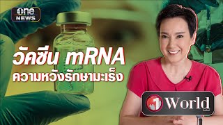 วัคซีน mRNA ความหวังรักษามะเร็ง | Highlight | one World | สำนักข่าววันนิวส์