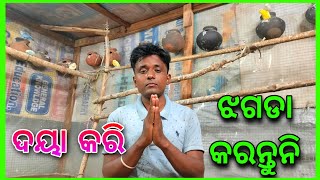 ଦୟା କରି ଝଗଡା କରନ୍ତୁନି 😪||Birds Vlogs ||Trilochan Lopamudra Vlog