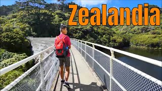 Zealandia, Wellington, New Zealand, Long version