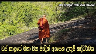 වස් කාලය‌ේ මහා වන මැදින් ඇස‌ෙන උතුම් සද්ධර්මය...Maha Rahathun Wedi Maga Osse