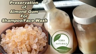 ||How to Preserve Almond Gum/Badam Gum For Shampoo/Conditioner/FaceWash/HandWash|| #badam #almond