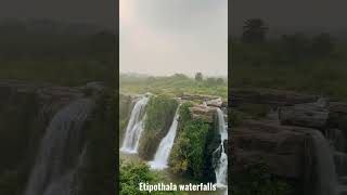 Ethipothala Waterfalls Nagarjuna Sagar. #hyderabad #outskirts #scenery #telangana #travel #video