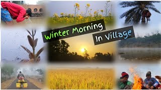 A Pleasant Winter Morning In Village / গ্রামের এক মনোরম শীতের সকাল || The Indian Youngster ||