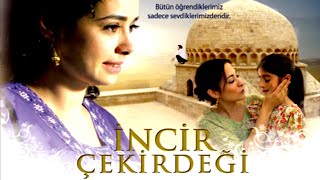 İncir Çekirdeği | Türk Filmi Dram Filmi | Full Film İzle
