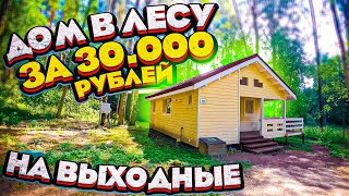 Сняли дом в лесу за 30000 рублей в Лен. Области / Отдых и туризм в России в 2021 году