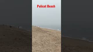 Pulicat Beach.