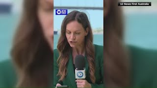 Australian reporter repeatedly dive-bombed by bird