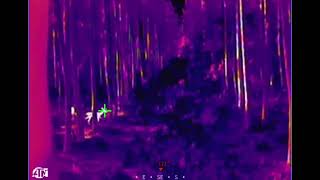 ATN Blaze Seeker 207 Thermal Monocular - Deer at 50 Yards