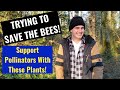 I Started My Own Native Plant Nursery!