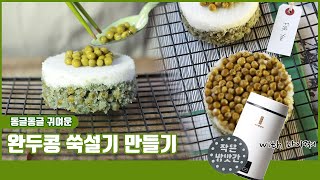 완두콩 쑥설기 만들기 | 마이쪄 떡만들기