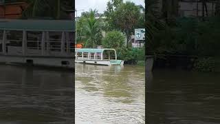 முதலியார் குப்பம். #backwaters #watertourism #nature #lake #shorts