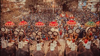 THIRUNAKKARA POORAM 2019 |  പാമ്പാടി  രാജനും  തെച്ചിക്കോട്ടുകാവ് ദേവീദാസനും | kerala Elephants