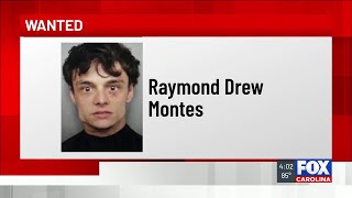Police: Strong-arm robbery suspect still on the run after unsuccessful search