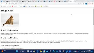 Week 7 HTML Assignment