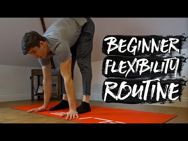 Leg Stretching Exercises Pdf