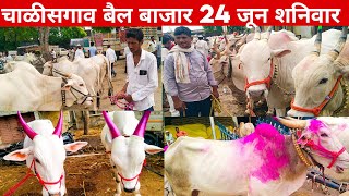 🛑 Live चाळीसगाव बैल बाजार 24/06/2023 शनिवार | शेतकरी | बैल बाजार 2023