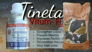 Vitum H || transition mix||  vitamins vitamin e  vitamin d vitamin h  vitamin a  biotin || Cargill