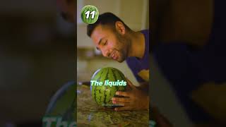 Can a Watermelon save your Smartphone!?