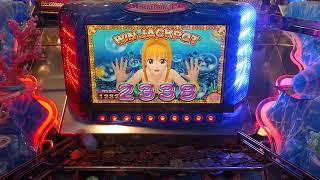 海物語ラッキーマリンシアターデラックス ジャックポットチャレンジ 2338 WIN JACKPOT(メダルゲーム)2023年6月26日