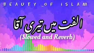 Heart touching naat e Rasool Ulfat Mein Teri aaqa slowed and reverb (Beauty of Islam)