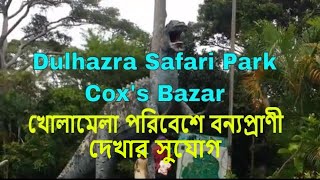 Dulahazra Safari Park Coxs bazar Bangladesh || ডুলাহাজারা সাফারি পার্ক || Travel Buddy