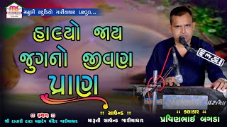 Halyo Jai Jugno Jivan Pran || હાલયોજાય જૂગનો જૂનો પ્રાણ || પ્રવીણભાઈ બગડા || Prachin Bhajan Juna