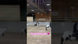 Hoppträning igår, jag kände mig lite osäker. Men det gick ganska bra iaf🥰 #showjumping #equestrian