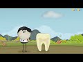 why do our teeth turn yellow aumsum kids science education children