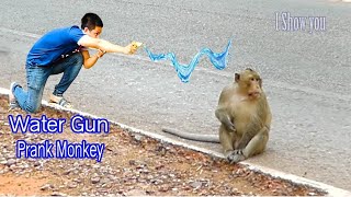 WATER GUN SPRAY PRANK MONKEY  || Funny Monkey Video || Monkey funny video || monkey prank video