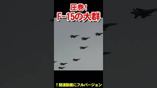 悪天候でも圧巻！空自F-15の大編隊　Stunning density! Large formation of JASDF F-15s【フルバージョン見てね】