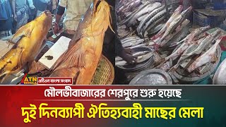 পৌষ সংক্রান্তি উপলক্ষে মৌলভীবাজারের শেরপুরে শুরু হয়েছে দুই দিনব্যাপী ঐতিহ্যবাহী মাছের মেলা।