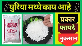 युरिया मध्ये काय आहे ll युरिया काम कसे करतो ll फायदे व नुकसान ll Urea fertilizer