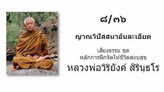 08. ญาณวิปัสสนาอันละเอียด : หลักการฝึกจิตให้ชีวิตสงบสุข โดย หลวงพ่อวิริยังค์ สิรินฺธโร