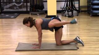 FIRE HYDRANT EXERCISE (stability)