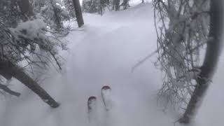 2021.2.13 [Purgatory] unknown glades 2 - camera dies