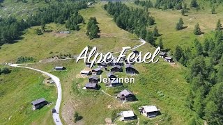 Feselalpe, Jeizinen, Foire du Valais