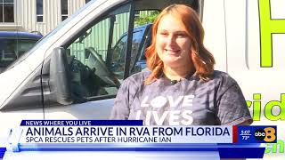Pets rescued from Florida after Hurricane Ian arrive at Richmond SPCA