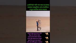 বোবা প্রাণীর ভাষা বুঝতে হবে কারণ তারা কথা বলতে পারে না তাদের কষ্ট শেয়ার করতে পারেনা