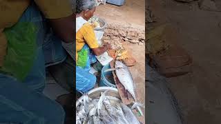 இன்று சந்தையில் குறைந்த விலையில் மீன் விற்கப்படுகிறது #ammasamayal #fish #food