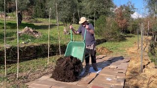 Planting No-dig Potatoes - Making Compost for our Vegetable Garden