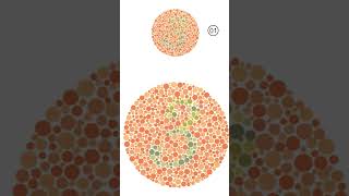 Secret Code Revealed: Cracking the Ishihara Color Test #shorts #vision #blindness