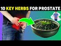 Top 10 Natural Herbs to SHRINK an Enlarged Prostate | Number 3 Will Surprise You