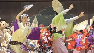 Awa-Odori「北の御門連 - かぐら連合同」奉納阿波踊り - 令和元年靖国神社秋季例大祭（2019.10.20）