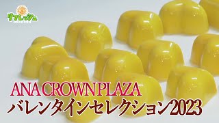 ANA CROWN PLAZA バレンタインセレクション2023（おでかけ中継）