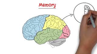 PSY-101 Module 4: Learning and Memory
