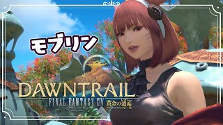 【FF14 黄金7.0】モブリン編｜本当の自分～濁流遡上 イフイカ・トゥム～望んだ平和の形～引退を控えた壺匠【女性実況／FINAL FANTASY 14 黄金のレガシー】#04